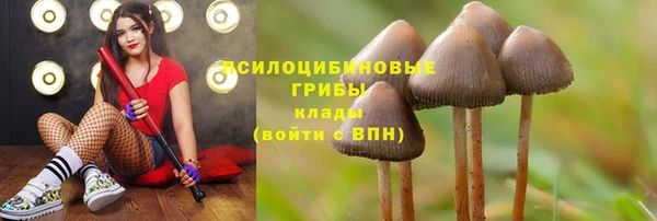 кокаин премиум Пересвет