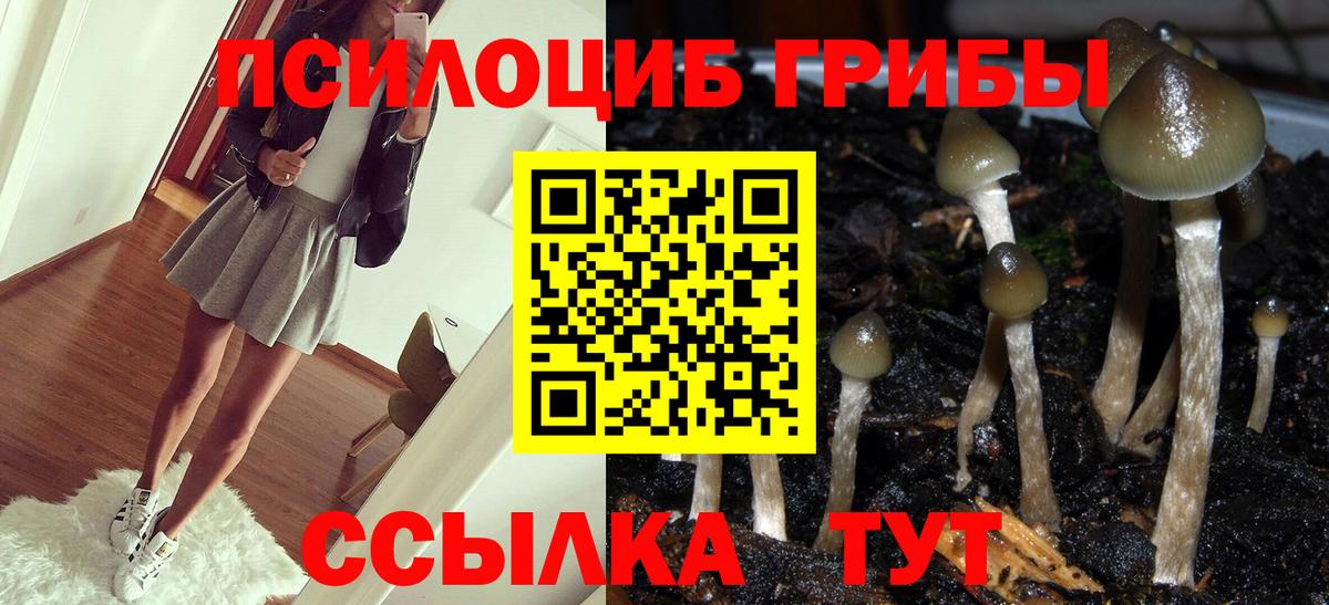 Галлюциногенные грибы прущие грибы Курганинск