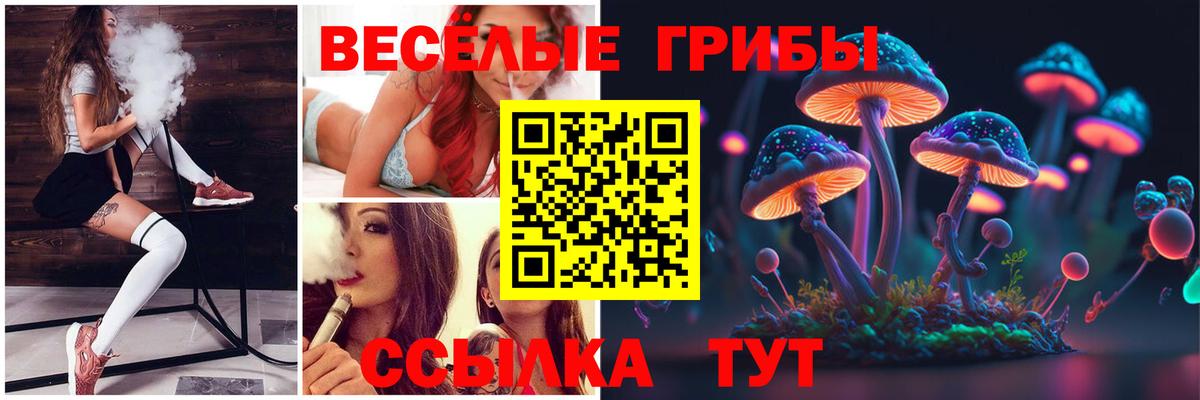 продажа наркотиков  Курганинск  Псилоцибиновые грибы Magic Shrooms 
